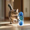 Cats don't like exercise? 7 ways to get them moving