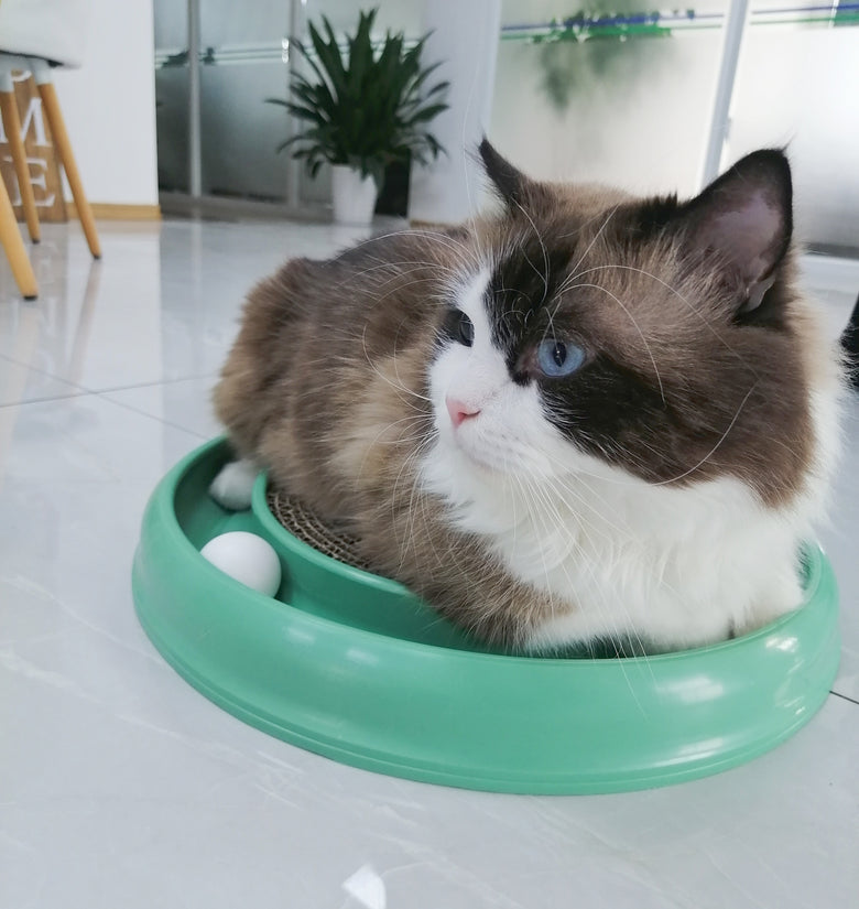 Scratching Board Cat Scratcher