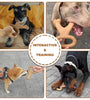 Chew toy bone Training teeth cleaning Release stress dog toy