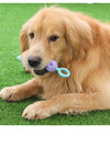 Dog Teething Toys Molar Rod