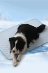 Dog Cooling Mat Ice Pad Cat Cooling Blanket